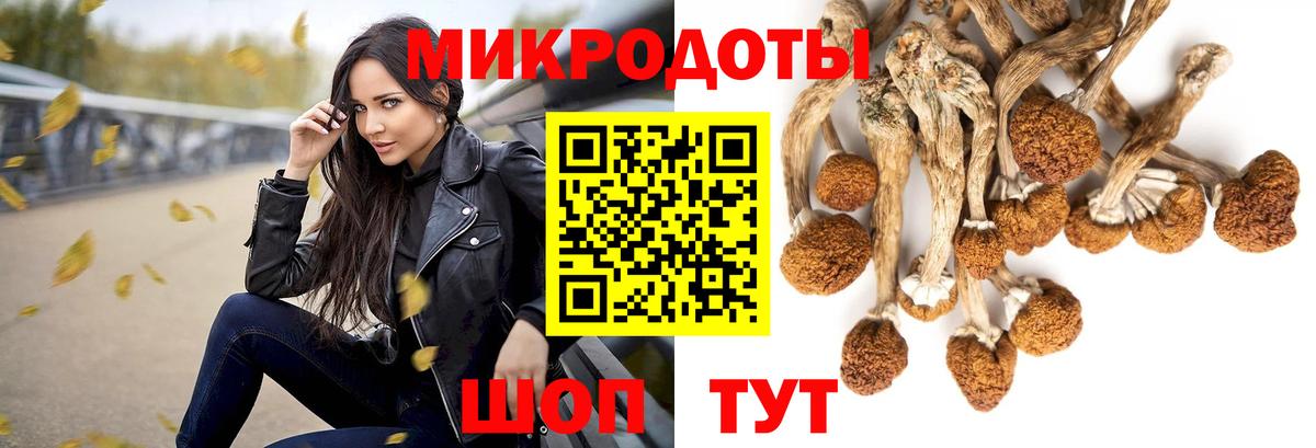 Галлюциногенные грибы MAGIC MUSHROOMS Сергиев Посад